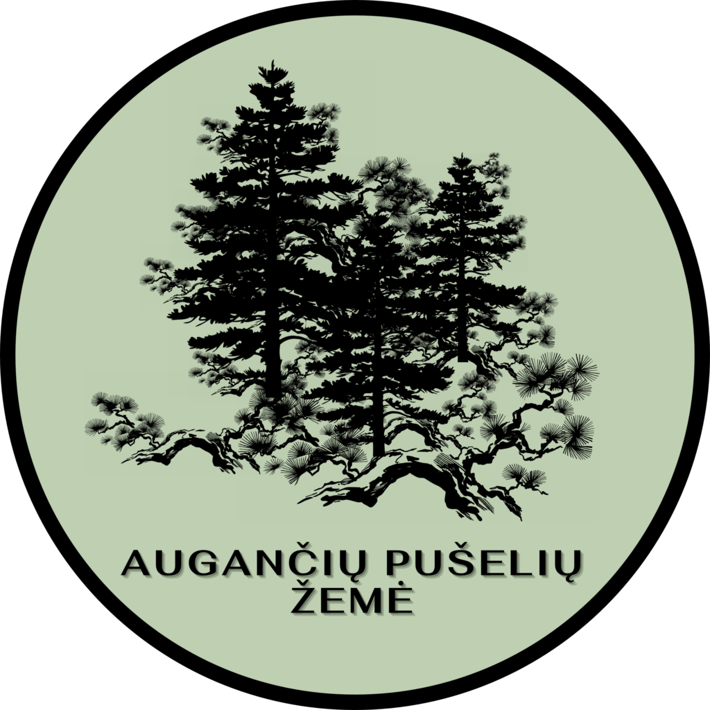 Privatūs meditacijos renginiai grupėms